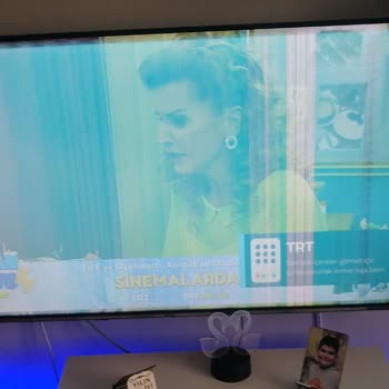 Vestel TV. Sözde Sıvı Teması, Yaygın Bahane.