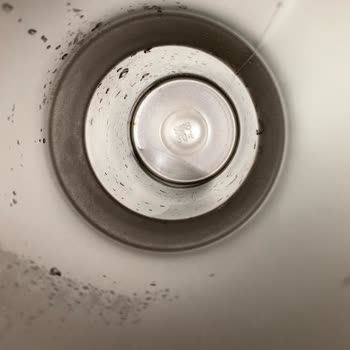 Kiwi Home Kiwi Marka Pipetli Termos