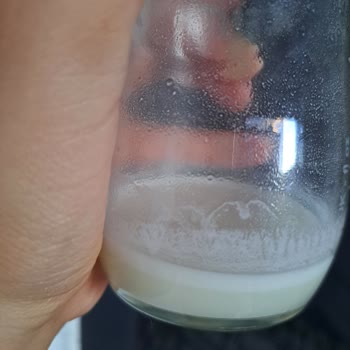 Milupa Conformil Mama 2 Katman Haline Geldi