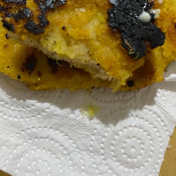 BİM'den Aldığım Lezita Marka Şinitzelde Tavuk Tüyleri