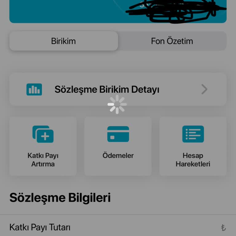 Türkiye Hayat Emeklilik Fon Değişikliği Yapamıyorum!