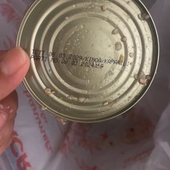 Metro Grossmarket Metrochef Kinoalı Kaparili Ton Balığından Kurt Çıktı