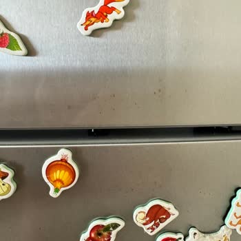 Bosch Inox Refrigerator Doors Rusted After 3 Years And Warranty Expired