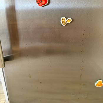 Bosch Inox Refrigerator Doors Rusted After 3 Years And Warranty Expired