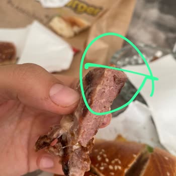 Emir Burger Burgerimden Kıl Çıktı
