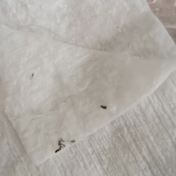 Civil Mağazacılık Kujju Bebek Temizleme Pamuğu