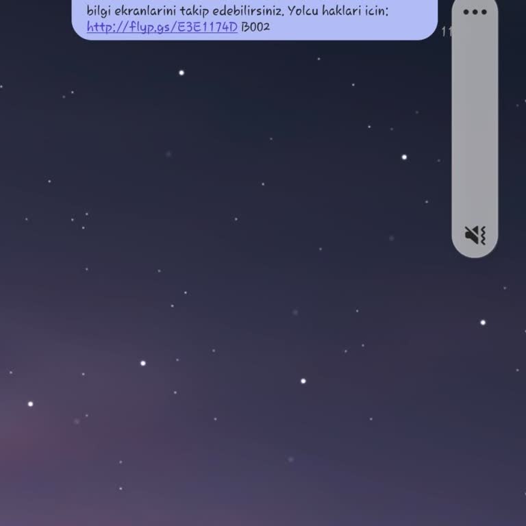 Pegasus Havayolları Uçuş Ertelenip Bilgilendirilmedi