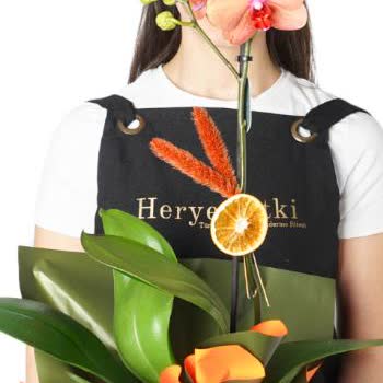 Heryerbitki Anneme Gönderdiğim Orkide Hayal Kırıklığı Yarattı