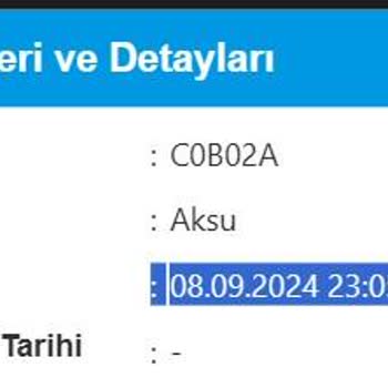 Domino's Aksu Geç Teslimat