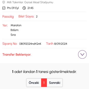 Biletalsat.com Türkiye İzlanda Maç Bilet Yok Ortada