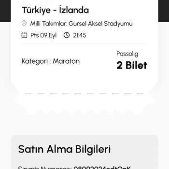 Biletalsat.com Türkiye İzlanda Maç Bilet Yok Ortada