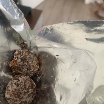 Fropie Kids Böcek Çıktı