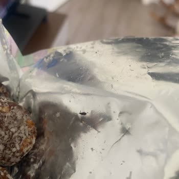 Fropie Kids Böcek Çıktı