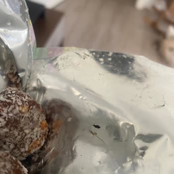 Fropie Kids Böcek Çıktı