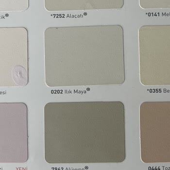 Dyo Mağduriyeti (ılık Maya)