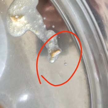 Ülker Bebek Bisküvisinde Kurt Çıkması