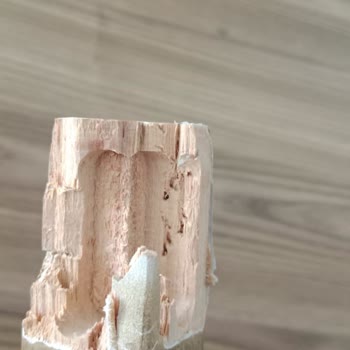 Mondihome Malının Arkasında Durmuyor.