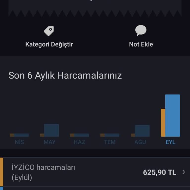 Iyzico Amazon Pe TR Hesabımdan Bilgim Dışı Para Çıkışı