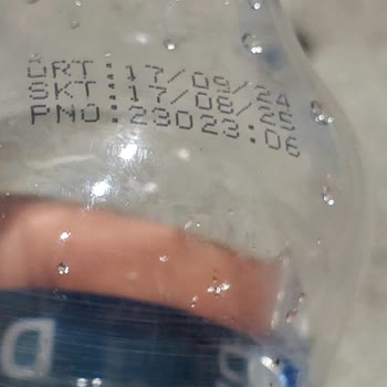 Dinçsu Tarihi Gelmemiş Ürün