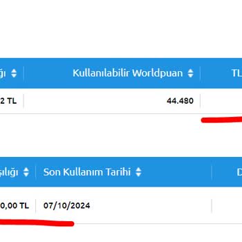 İdefix World Puan Görüntülenemiyor