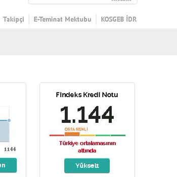 Findeks Kredi Notu 1144 Olmasına Rağmen Orta Risk Grubundayım