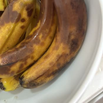 Beko Buzdolabı İle Yaşadığım Sorunlar Ve Çözüm Beklentisi