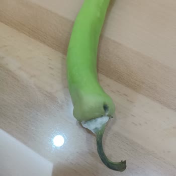 Eki aç