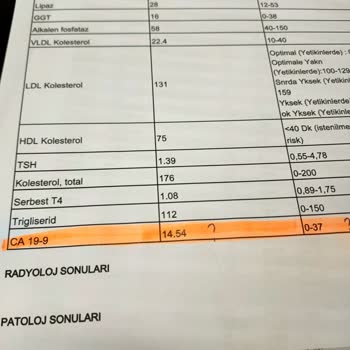 Beylikdüzü Medikana İnternational Has. Kan Tah. Sonuçları Şikayet