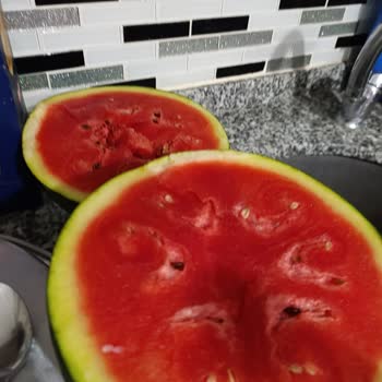 Migros'tan Aldığım Bozuk Olan Ürünü Değiştirme Sorunu