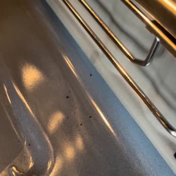 Arçelik Buharlı Temizlenen Fırını Hayal Kırıklığı