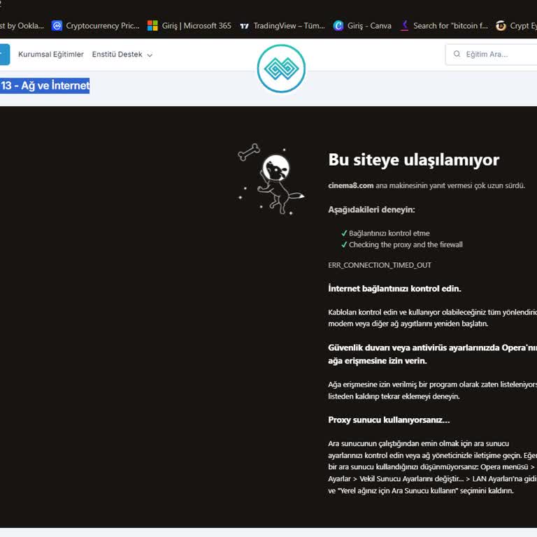 İstanbul Boğaziçi Enstitüsü Boğaziçi Enstitüsünün Hataları