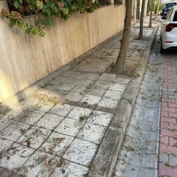 İstanbul Büyükşehir Belediyesi Kaldırım Çökmesi Tehlikesi: Aile Ve Misafirler İçin Acil Onarım Talebi