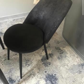 Canisa Sandalye Şikayetim Hakkında