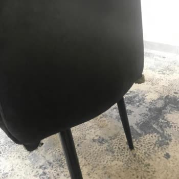 Canisa Sandalye Şikayetim Hakkında