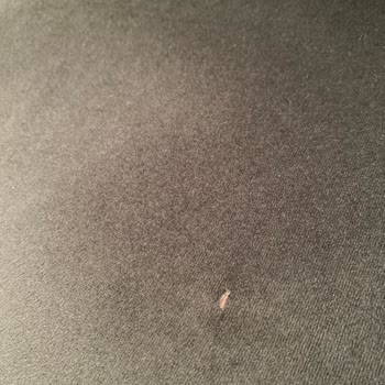 Doğtaş Koltuk Takımında Yaşanan Sorunlar Ve Yetersiz Hizmet