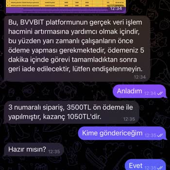 Telegram Online Platformda Yaşanan Finansal Mağduriyet