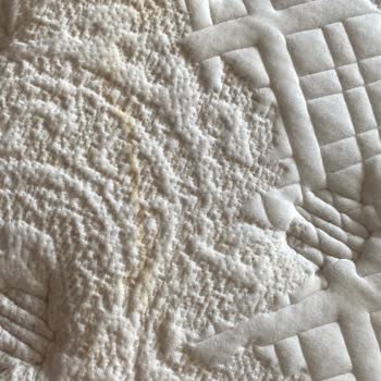 Bellona Ses Ve Sararma