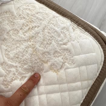 Bellona Ses Ve Sararma