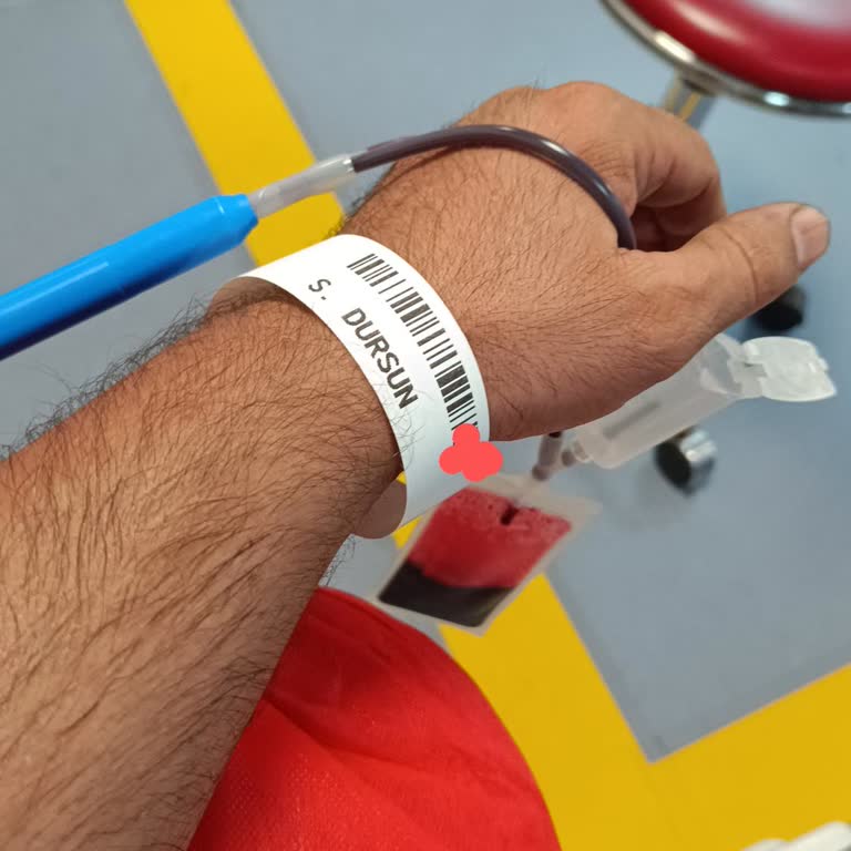 Türk Kızılayının Madalya Unutkanlığı
