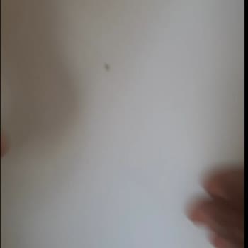 Ktl Yapı Teknolojileri İnternetten Kapı Siparişinde Hasarlı Kanadın Gelmesi