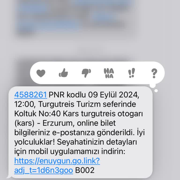 Turgutreis Turizm Turgutreis Otobüs Şoförü Otoyol Üzerinde İndirdi