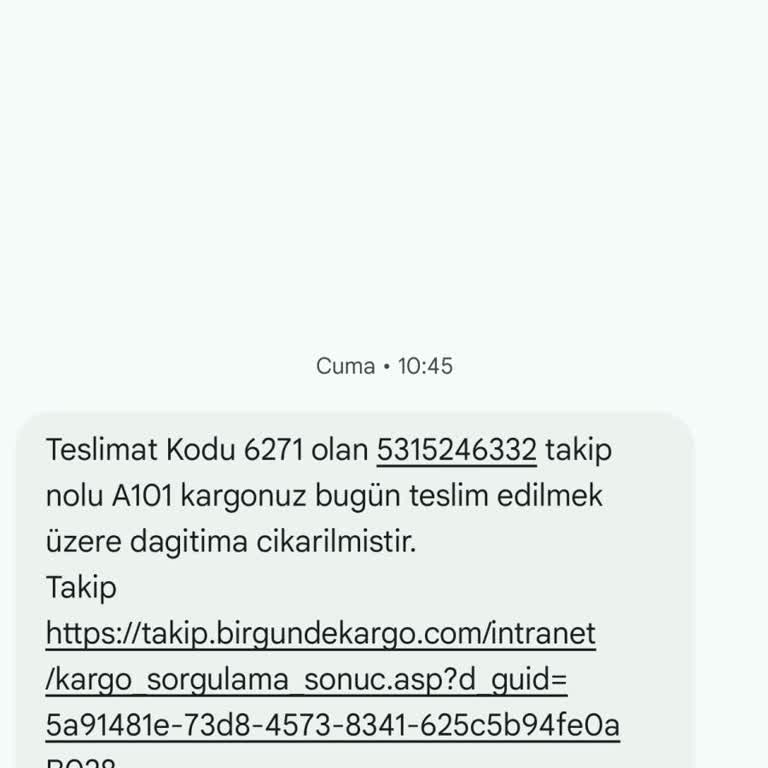 Bir Günde Kargo Firması Kargomu Teslim Etmiyor
