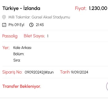 Biletalsat.com İzlanda Maçı Bileti Sorunu: Acil Yardım Bekliyorum