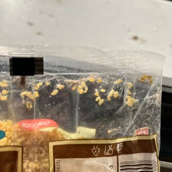 Duru Bulgur Duru Marka Bulgur SKT Sine 1 Buçuk Yıl Var Ürün Kelebek Kaynamış