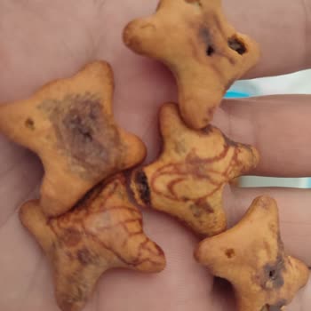 Şölen Ozmo Hoppo Yanık Görüntüsü Ve Çikolataları Akmış Dışına Sızmış.