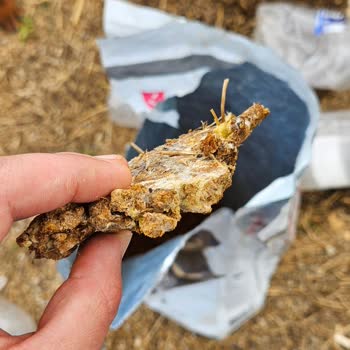 Reflex Mamada Küf Çıktı!