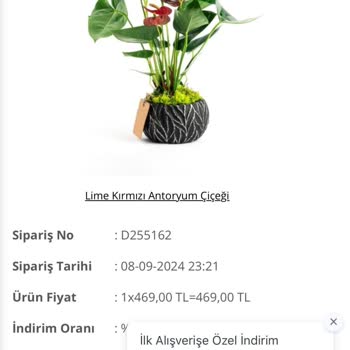 Salonbitkileri.com Çiçek Siparişimin Görselle Aynı Olmaması