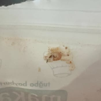 Makarna Lütfen Kurtlu Çorba Karışımı