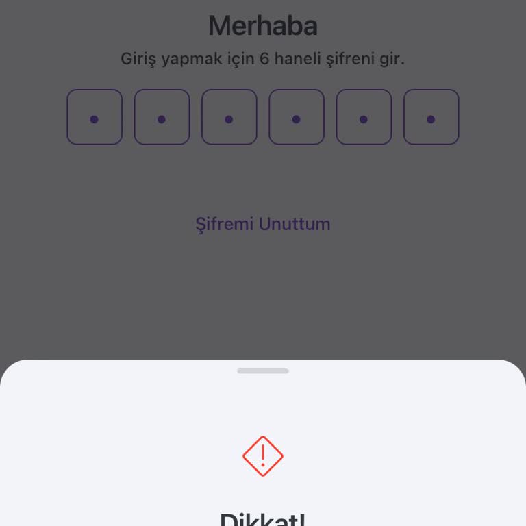 Hadi - TOMBANK Hesap İncelemesi Nedeniyle Mağduriyet Yaşıyorum