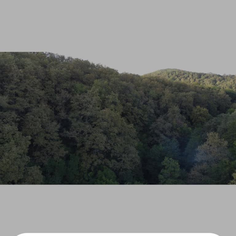 Xiaomi Kaliteyi Yerlere İndiriyor